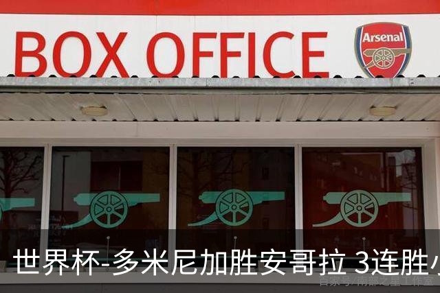 世界杯-多米尼加胜安哥拉 3连胜小组第一晋级