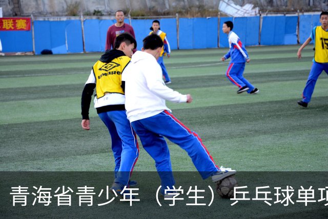 青海省青少年（学生）乒乓球单项赛开赛