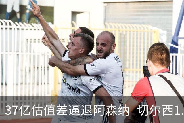 37亿估值差逼退阿森纳 切尔西1.17亿抢下维拉前锋罗杰斯