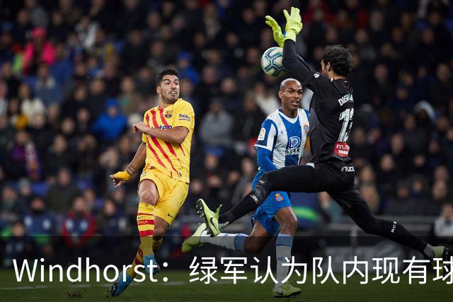 Windhorst：绿军认为队内现有球员能弥补失去杰伦·布朗的损失